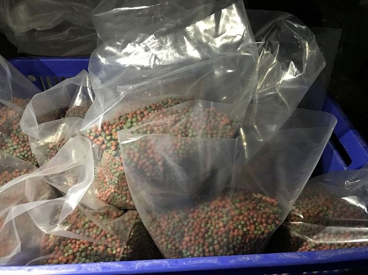 low price tropical fish food