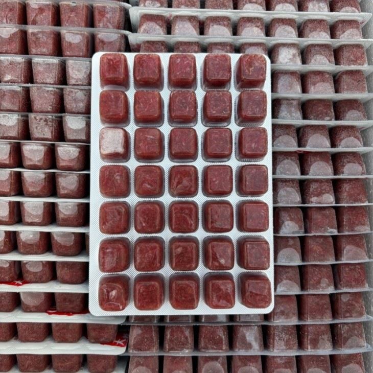 frozen bloodworm 100g