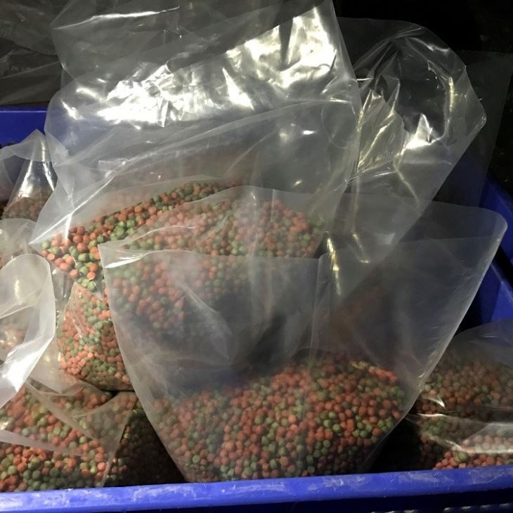 low price tropical fish food